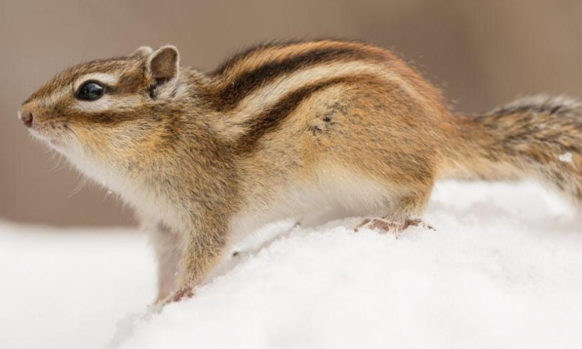 雷格磁浮子液有限公司轮播图1