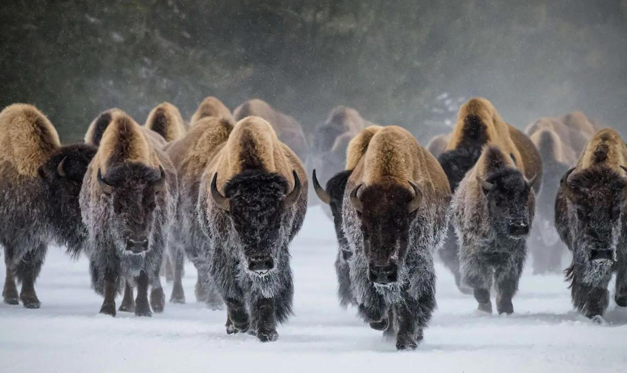 雷格磁浮子液有限公司轮播图4